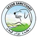 بیمارستان حیوانات سزار